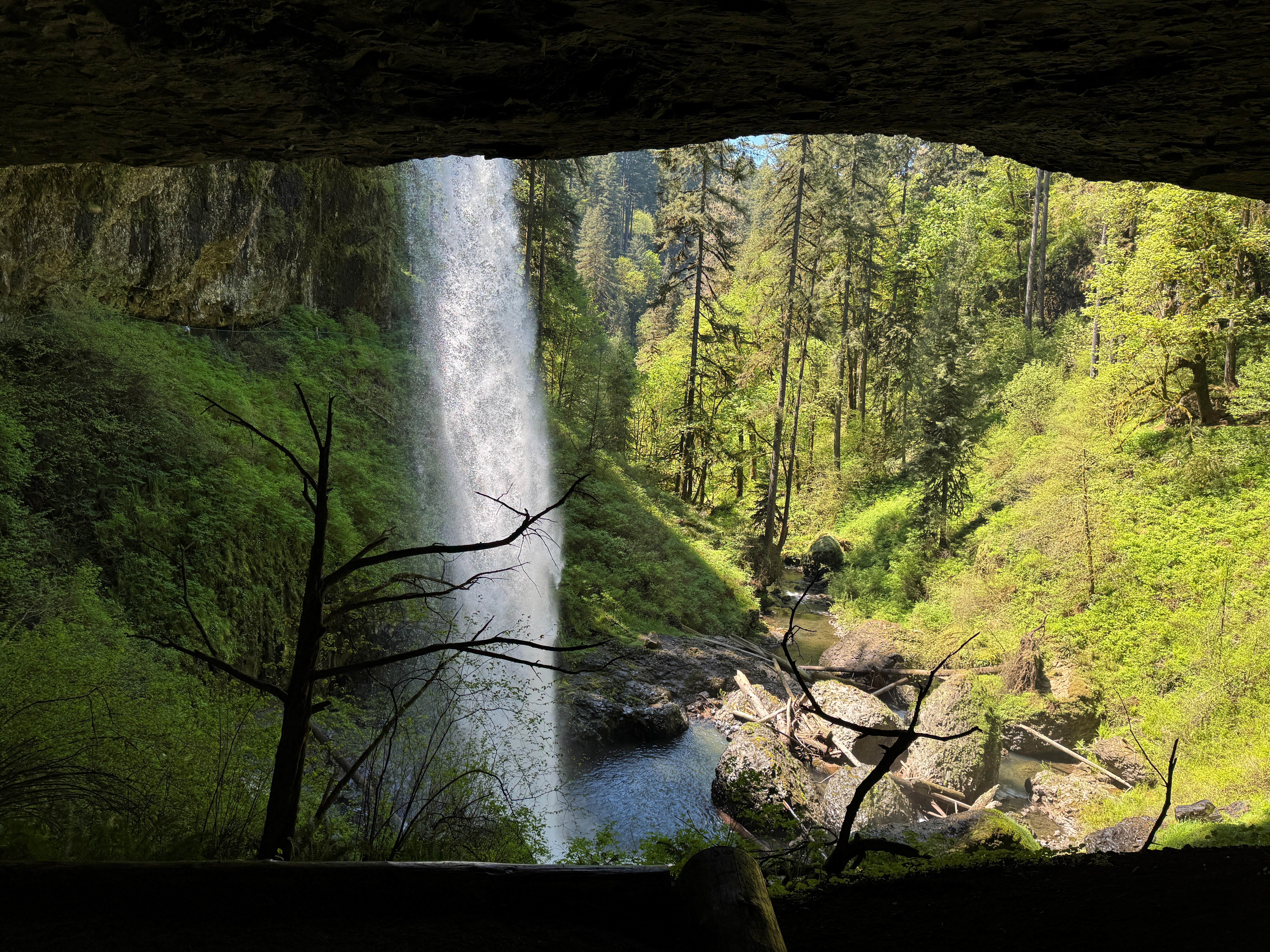 Silver Falls